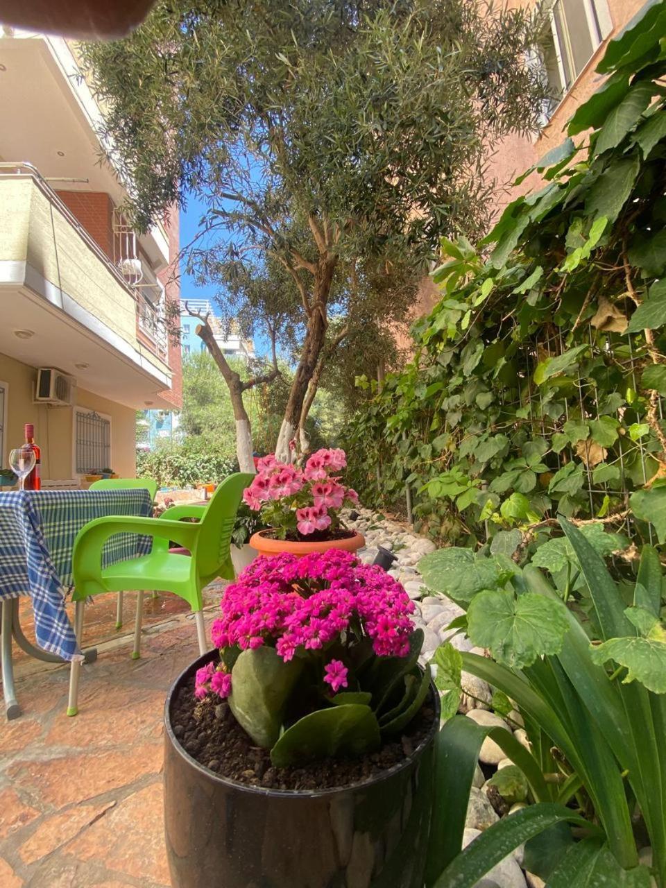 Olive Tree Apartment Sarandë エクステリア 写真