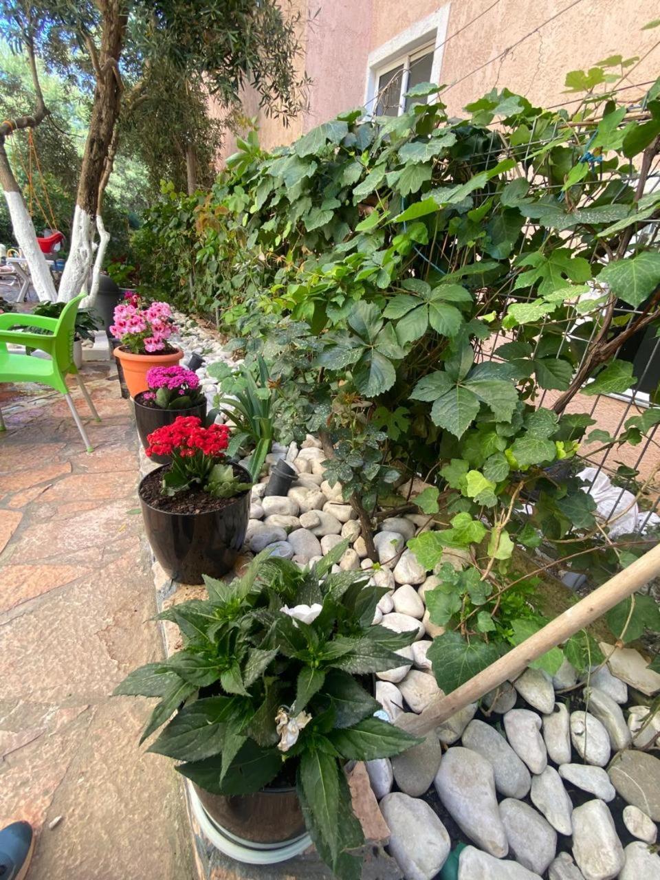 Olive Tree Apartment Sarandë エクステリア 写真